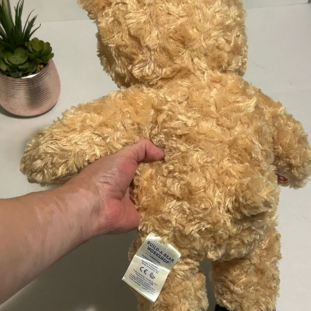 Build-A-Bear Fluffy Tan and Black Teddy